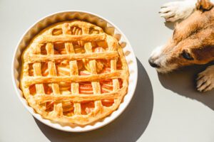 thanksgiving foods dangerous for your pet in minnesota