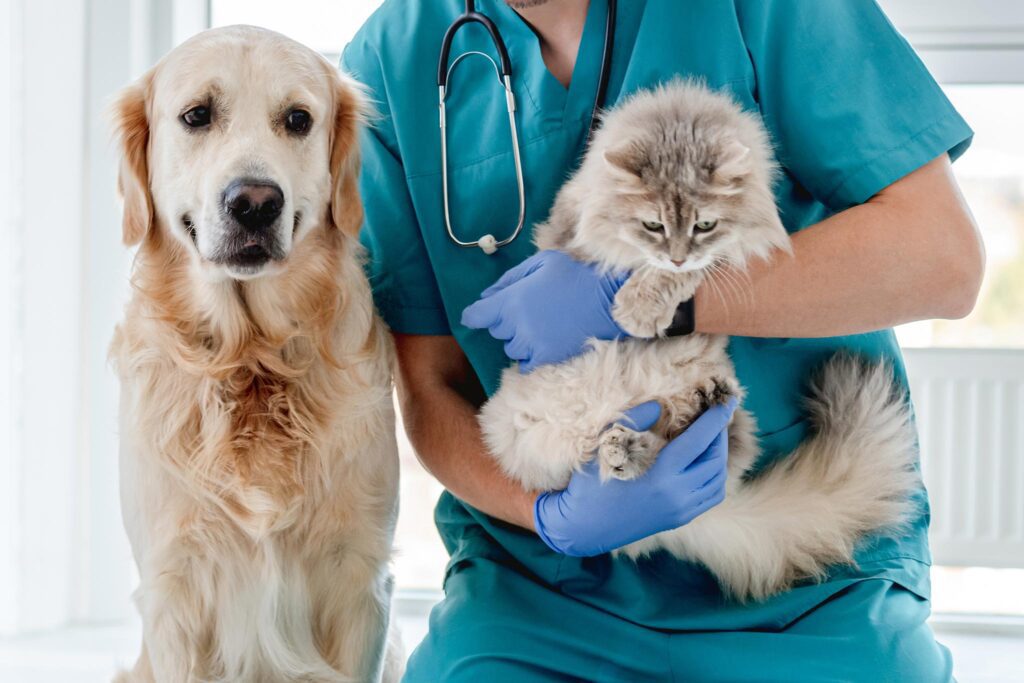 routine fecal testing in pets in minnesota