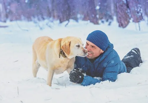 male-owner-playing-with-yellow-lab-in-the-snow